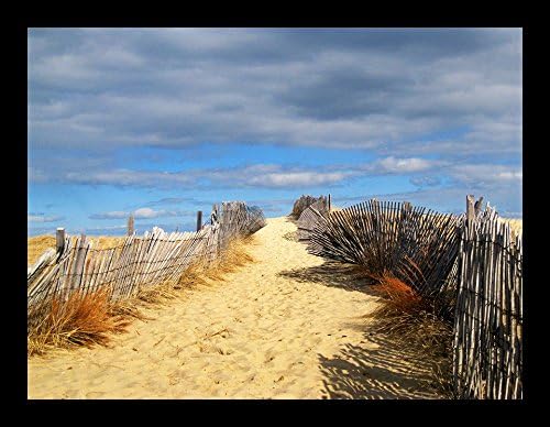 FRAMED Path To The Outer Beach 16x12 Art Print Poster Decor by Joseph Condon