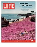 Girl Reading a Book on “Pink Magic Carpet” at Lovers Point Park, Pacific Grove, CA, June 24, 2005 Photographic Poster Print by Greg Miller, 11×14