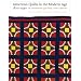 American Quilts in the Modern Age, 1870-1940: The International Quilt Study Center Collections