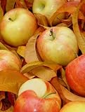 Mouth-Watering Apple Recipes