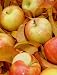 Mouth-Watering Apple Recipes