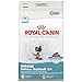 Royal Canin Feline Care Nutrition Hairball Care Adult Dry Cat Food, 3 lb Bag