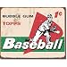 51N4wKHxhLL. SL75  baseball decor