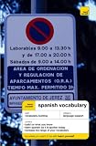 Teach Yourself Spanish Vocabulary (TY Vocabulary)