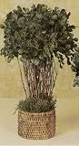 17 HIGHPOINT BOXWOOD M ROUND RATAN 2PC.