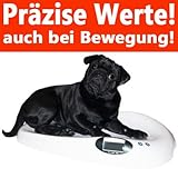 Hundewaage Katzenwaage