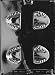 FALSE TEETH Jobs Candy Mold Chocolate