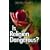 Is Religion Dangerous?