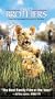Two Brothers (Spanish Subtitles) [VHS]