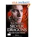 Silver Dragons:   Drachen lieben hei�er