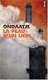 La Peau d'un lion