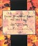 From Wounded Knee to My Lai: Readings in Modern American History