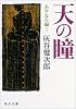 天の瞳 あすなろ編(1) (角川文庫)