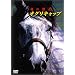 �I�O���L���b�v ���̌��� [DVD]