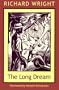 The Long Dream (Northeastern Library of Black Literature)