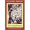The Long Dream (Northeastern Library of Black Literature)