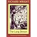 The Long Dream (Northeastern Library of Black Literature)