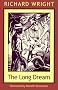 Long Dream (Northeastern Library of Black Literature)