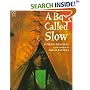 A Boy Called Slow (Paperstar Book)