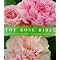 Looking Through Rose-colored Glasses