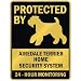 terrier2  - PROTECTED BY AIREDALE TERRIER HOME SECURITY SYSTEM PARKING