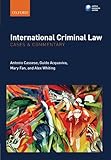 International criminal law : cases & commentary