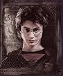 Harry Potter Order of the Phoenix Fleece Blanket (Measures Approximately 50 x 60)