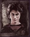 Harry Potter "Order of the Phoenix" Fleece Blanket (Measures Approximately 50" x 60")