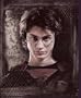 Harry Potter "Order of the Phoenix" Fleece Blanket (Measures Approximately 50" x 60")