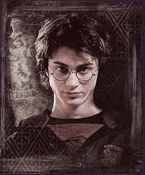 Harry Potter "Order of the Phoenix" Fleece Blanket (Measures Approximately 50" x 60")
