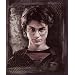 Harry Potter "Order of the Phoenix" Fleece Blanket (Measures Approximately 50" x 60")