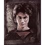 Harry Potter "Order of the Phoenix" Fleece Blanket (Measures Approximately 50" x 60")