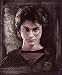 Harry Potter "Order of the Phoenix" Fleece Blanket (Measures Approximately 50" x 60")