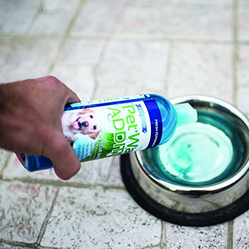 Dog Breath Plaque Spray / Dog Dental Care Chews 2015 on Flipboard by