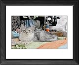 Framed Prints of CAT. Tiffanie with sewing machine from Ardea Wildlife Pets