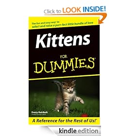Kittens For Dummies