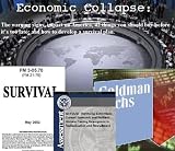 Economic Collapse: The warning signs, impact on America, 42 things you should buy before it's too late; and how to develop a survival plan.