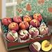 Yellow and White Peaches Deluxe Fruit Gift Box