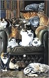 Review Decoration Sensation  / Cat Couch Decorative Switchplate Cover