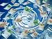 Real Photo of Money Currencies and Sky - 18W x 14H - Peel and Stick Wall Decal by Wallmonkeys