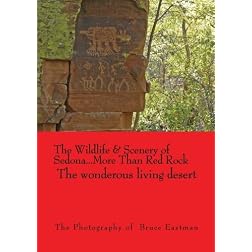The Wildlife & Scenery of Sedona
