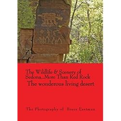 The Wildlife & Scenery of Sedona