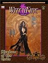 The Witchfire Trilogy, Book 2 : Shadow of the Exile (Privateer Press d20)