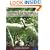 Animal Behaviour: Mechanism, Development, Ecology and Evolution