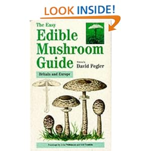 Easy Nature Pictures