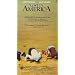 Lost in America [VHS]