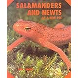 salamanders newts new pet