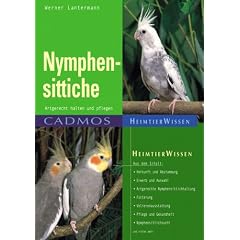 Nymphensittiche: Artgerecht halten und pflegen