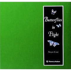 Butterflies In Flight