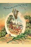 Art Poster, Garden City Clipper Plows - 18.75 x 27.5
